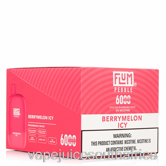 Vape Juice South Africa [10-Pack] Flum Pebble 6000 Disposable